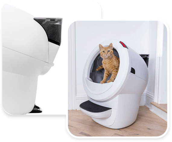 Litter robot models best sale