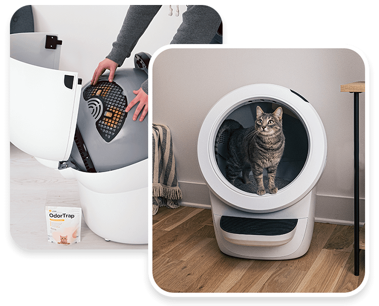 Litter Robot 4 Automatic Self Cleaning Litter Box Litter Robot