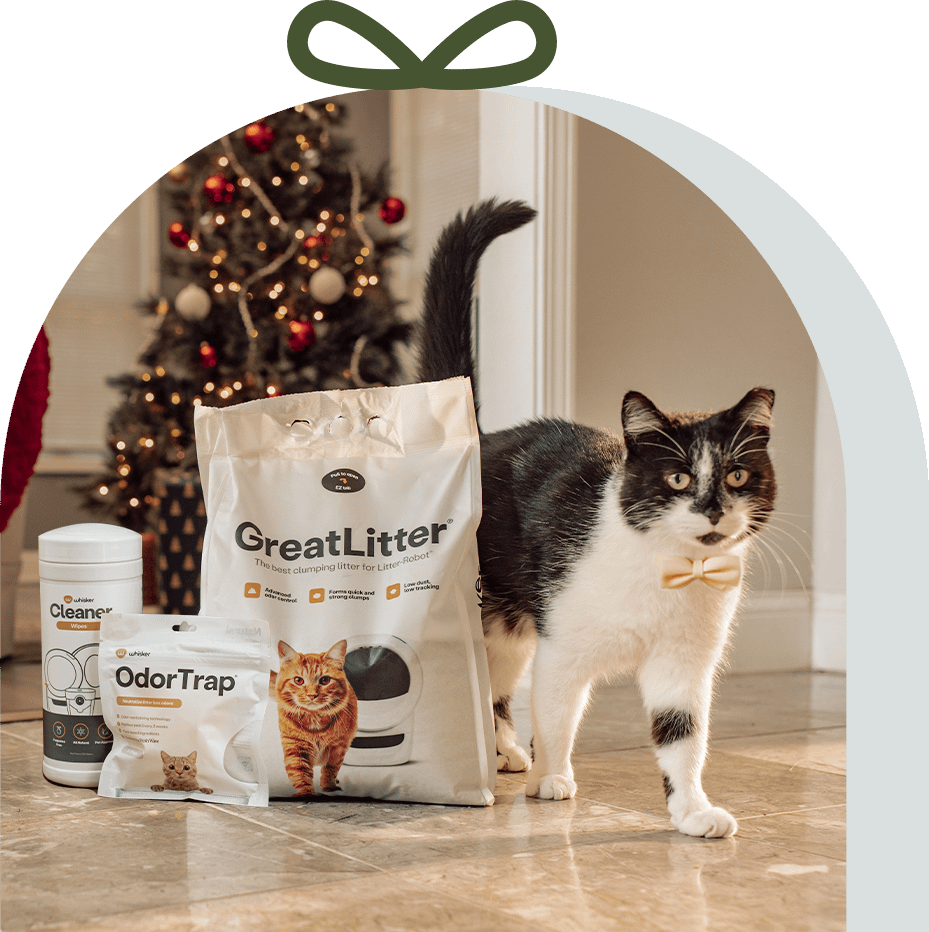 Litter box subscription best sale