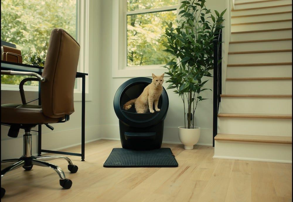 orange tabby cat using Litter-Robot 4