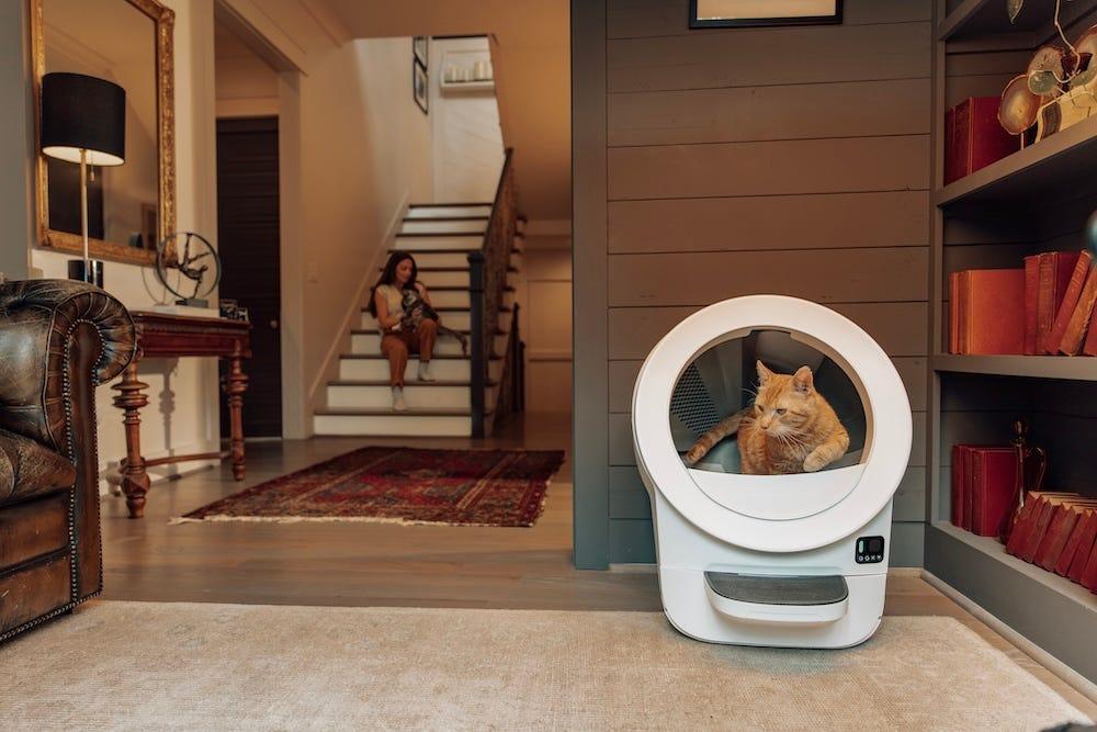 orange tabby cat using Litter-Robot self-cleaning litter box with woman petting cat on stairs