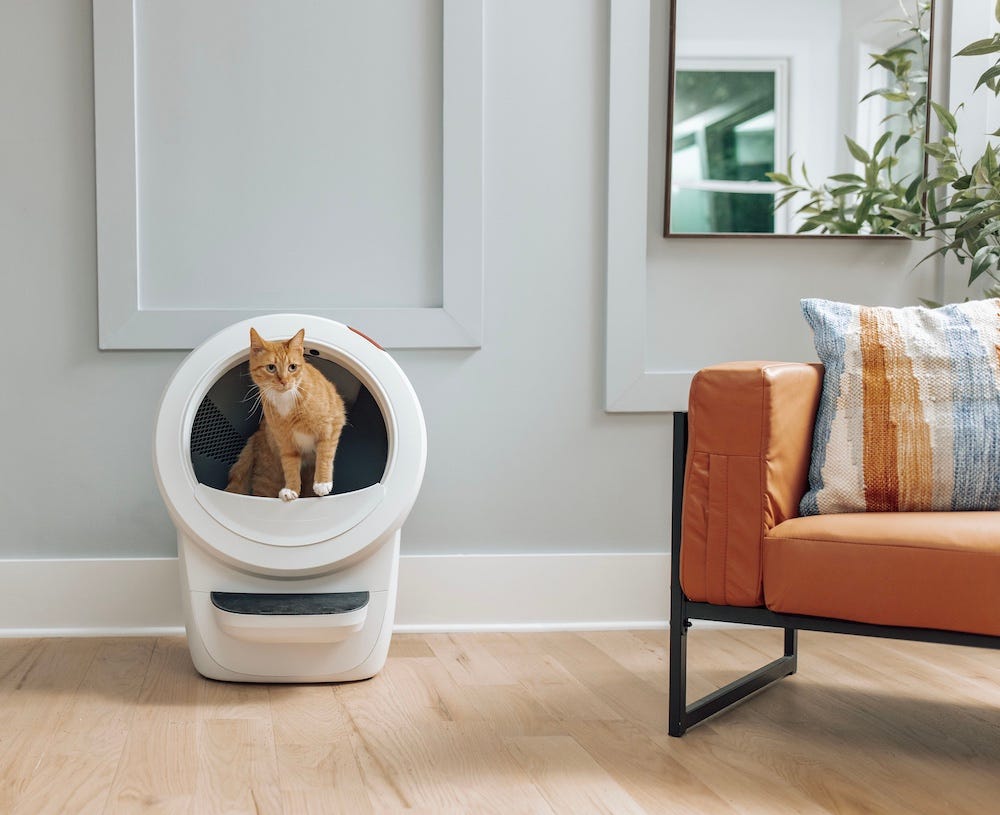 orange tabby cat using Litter-Robot 4 in apartment