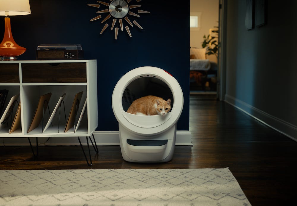 orange tabby cat using Litter-Robot 4