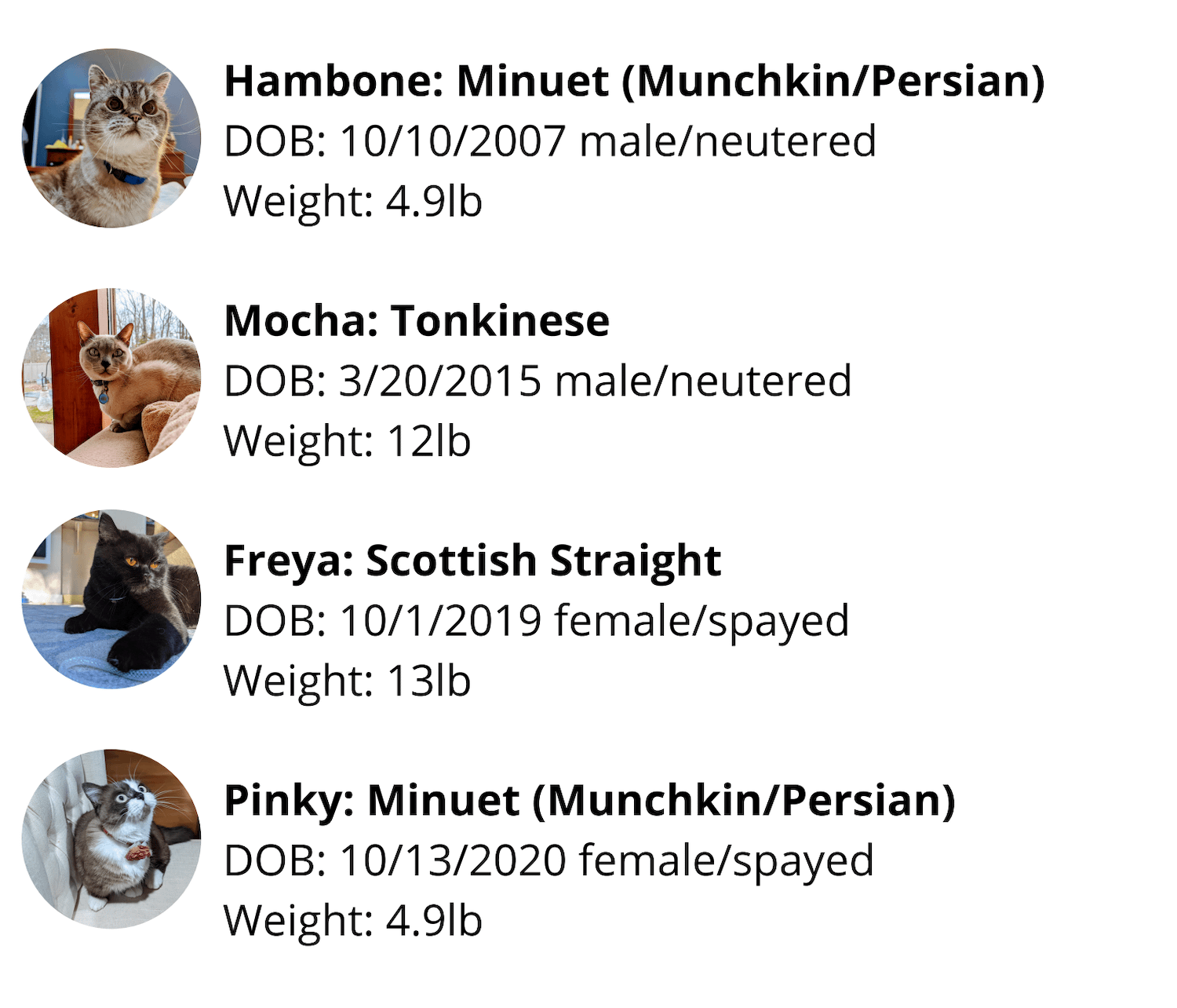 four cats participated in Whisker-Enspra study about Litter-Robot