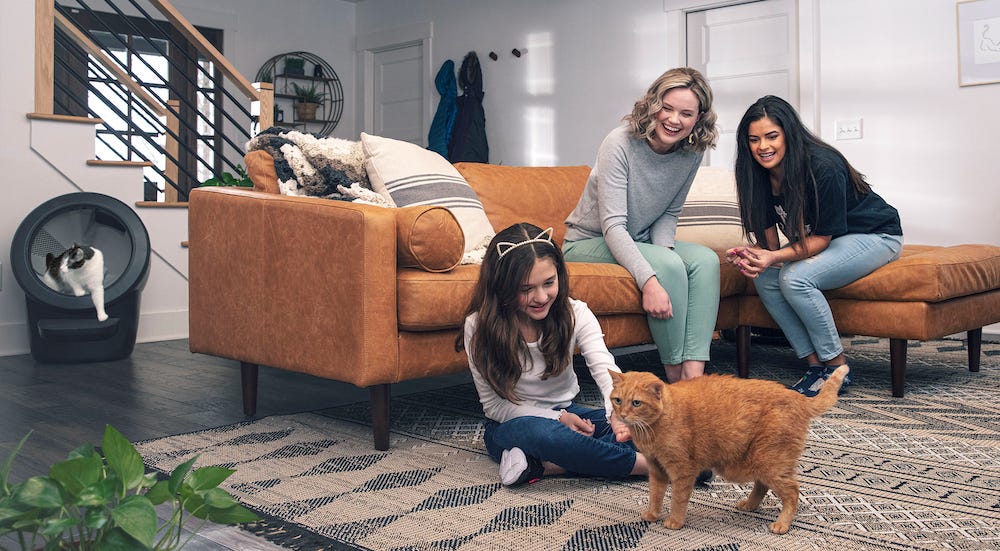 family playing with cat while another cat uses Litter-Robot 4