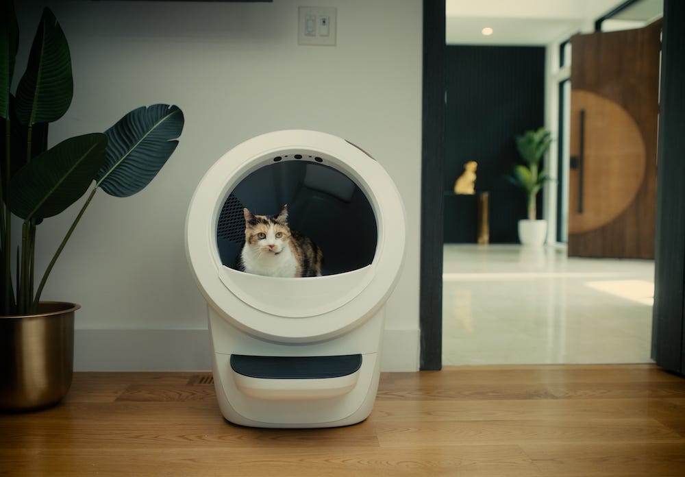 calico cat using self-cleaning litter box