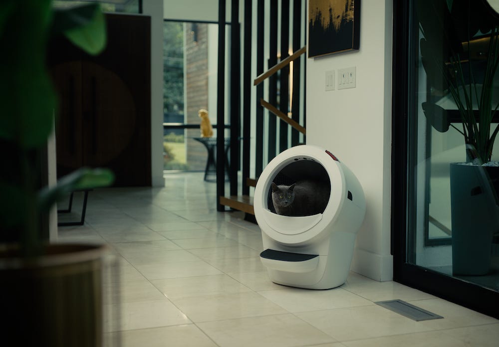 grey cat using Litter-Robot