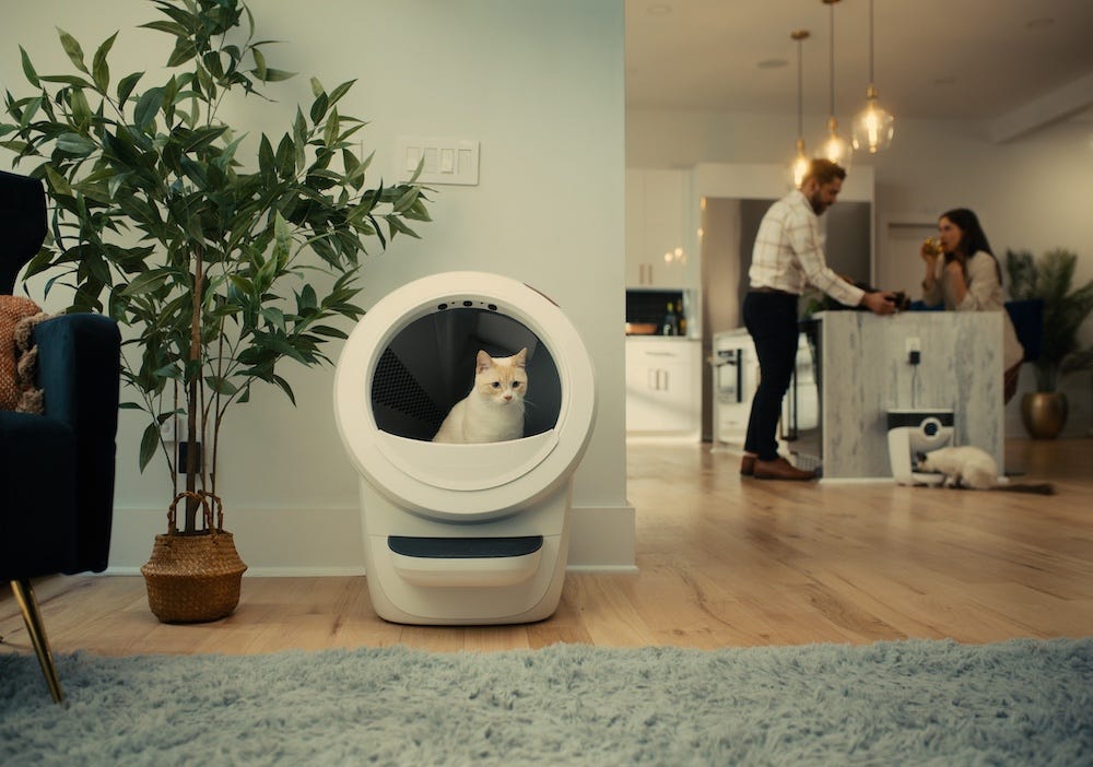 white cat in Litter-Robot with couple in background