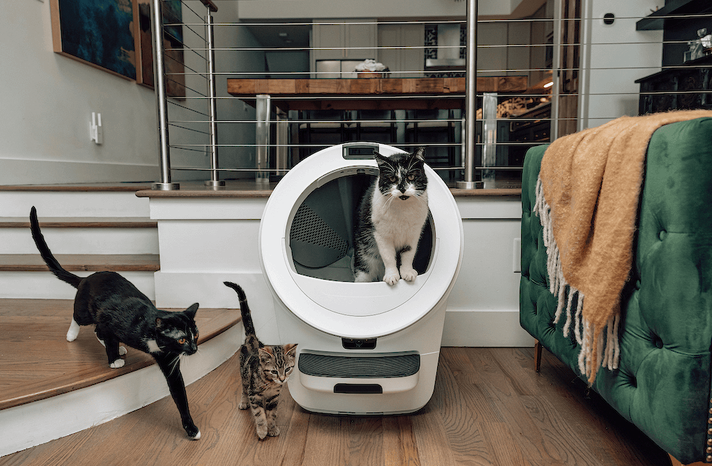 three cats with Litter-Robot 5 Pro featuring CatID facial recognition