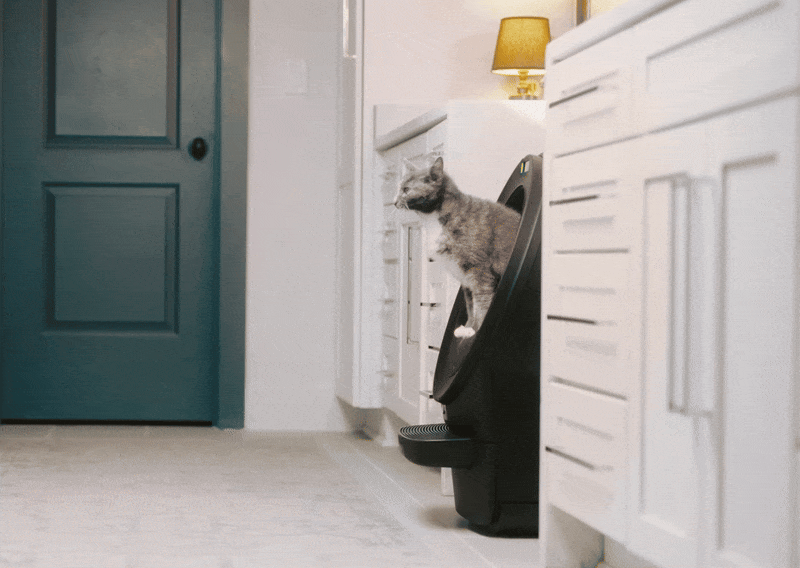 An animated GIF of an orange cat jumping out of a white Litter-Robot 4