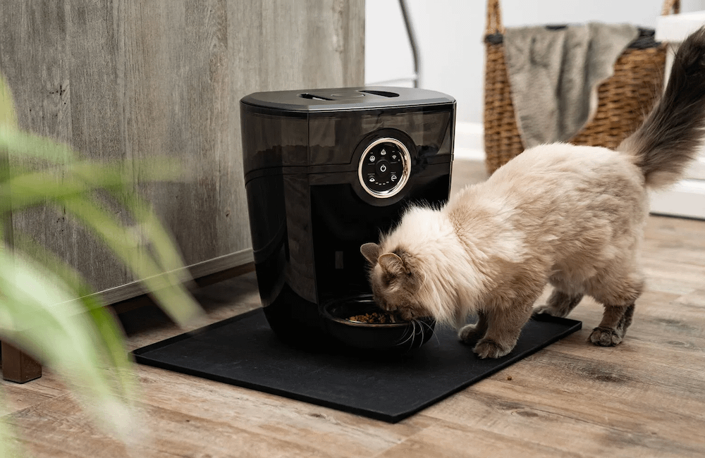 automatic cat feeder Feeder-Robot