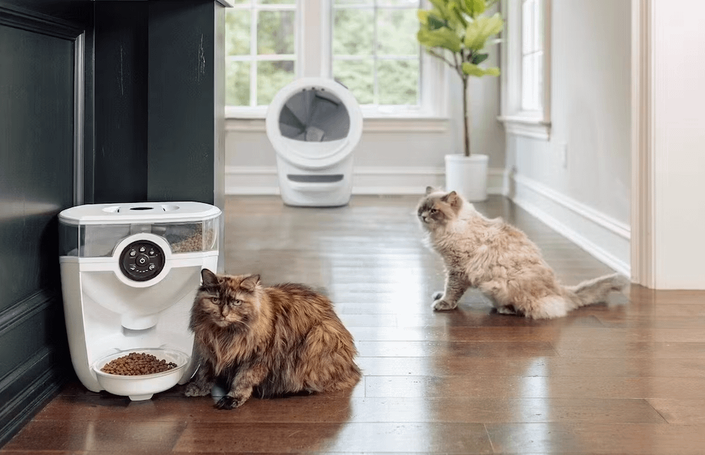 Siberian cats with Litter-Robot and Feeder-Robot