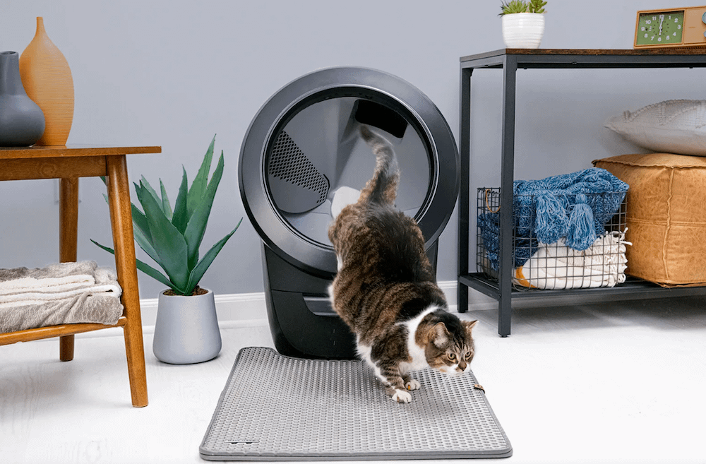 cat exiting Litter-Robot 4 onto littertrap mat