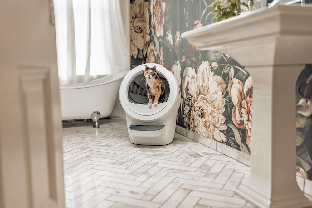calico cat using Litter-Robot 4 in airbnb bathroom