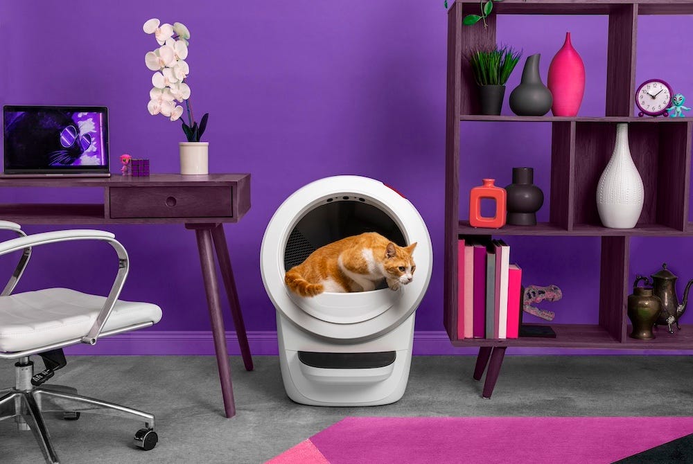 cat using Litter-Robot 4 in purple home office