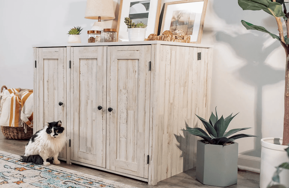 cat next to hidden litter box furniture credenza