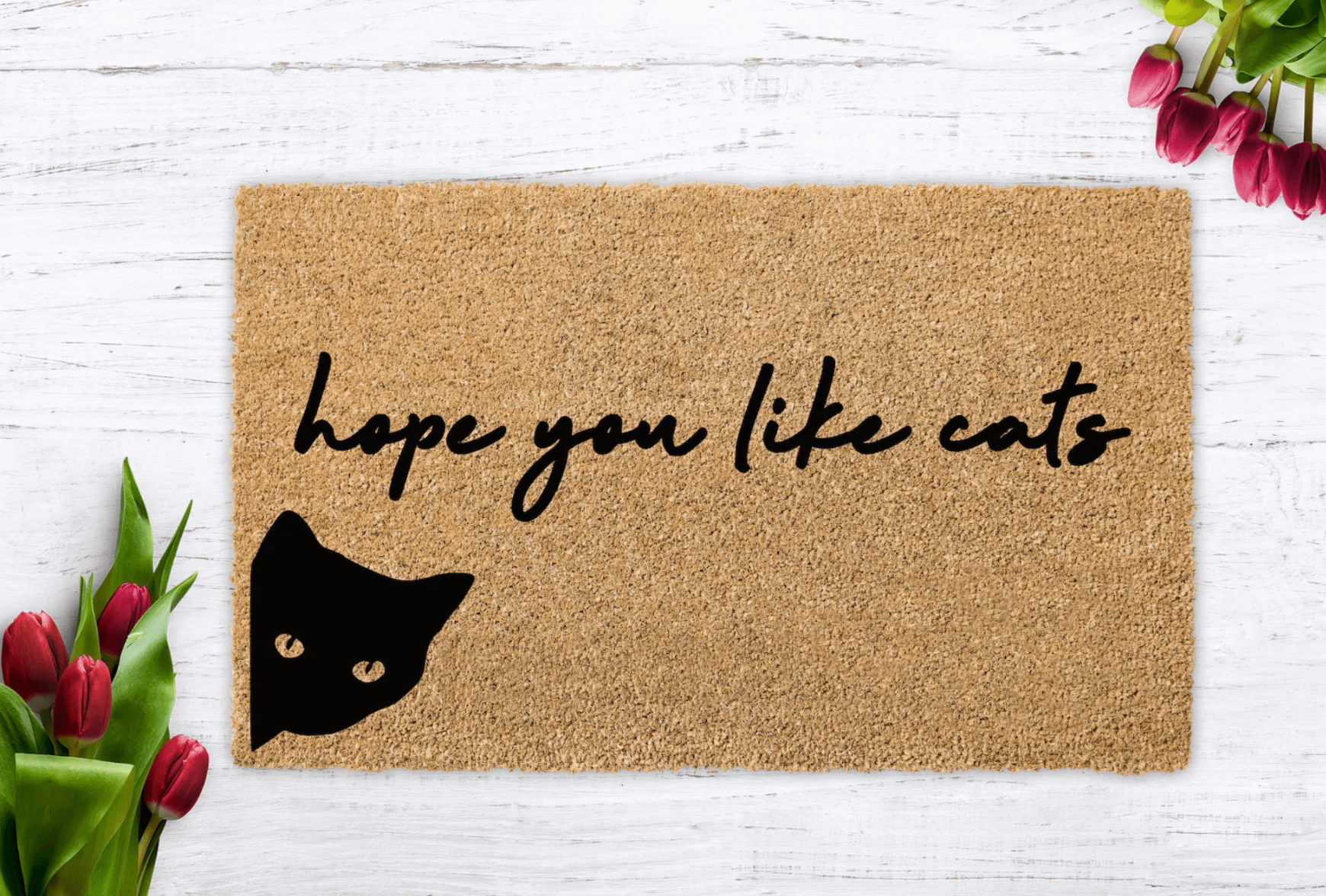 cat doormat
