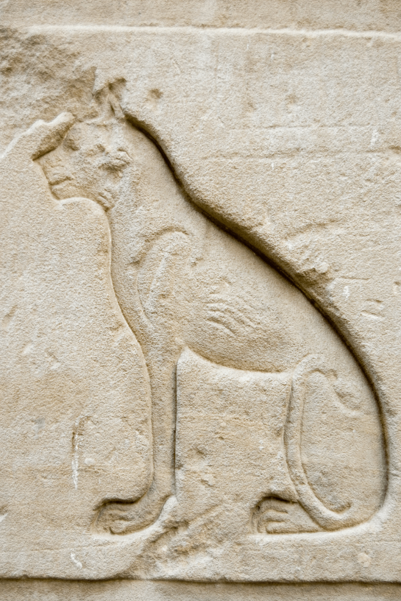 cat hieroglyph