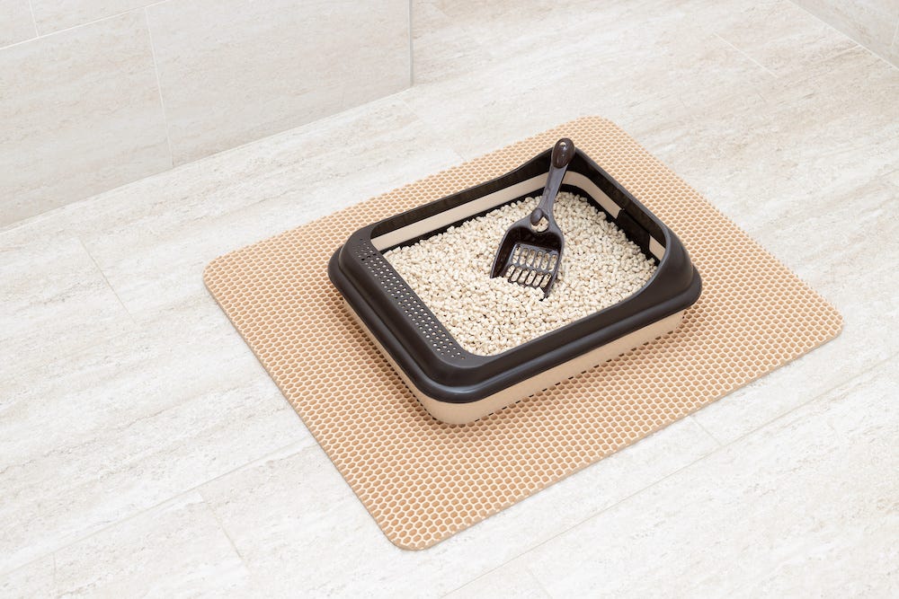 traditional litter box on large litter mat