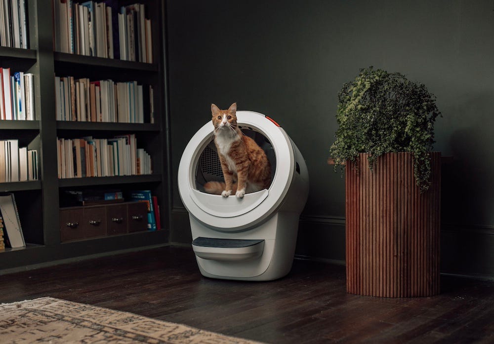 orange tabby cat using Litter-Robot 4