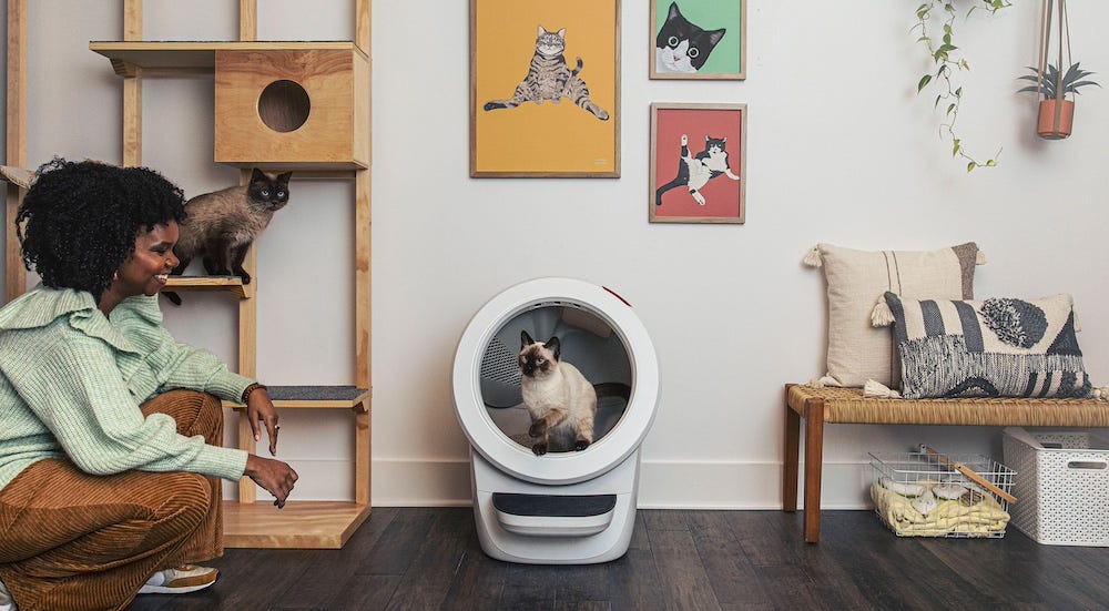 cat room with Litter-Robot 4, cat tree, cat decor