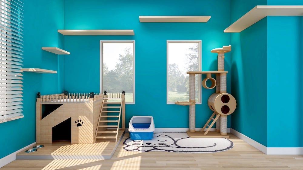 cat room with cat shelves, cat tree