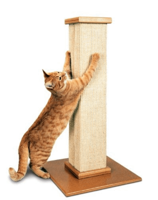 cat scratching post