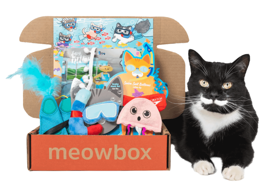 cat subscription box