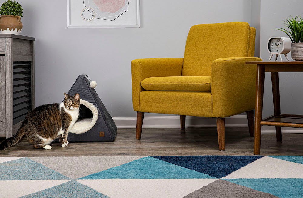 tabby cat next to cat teepee bed