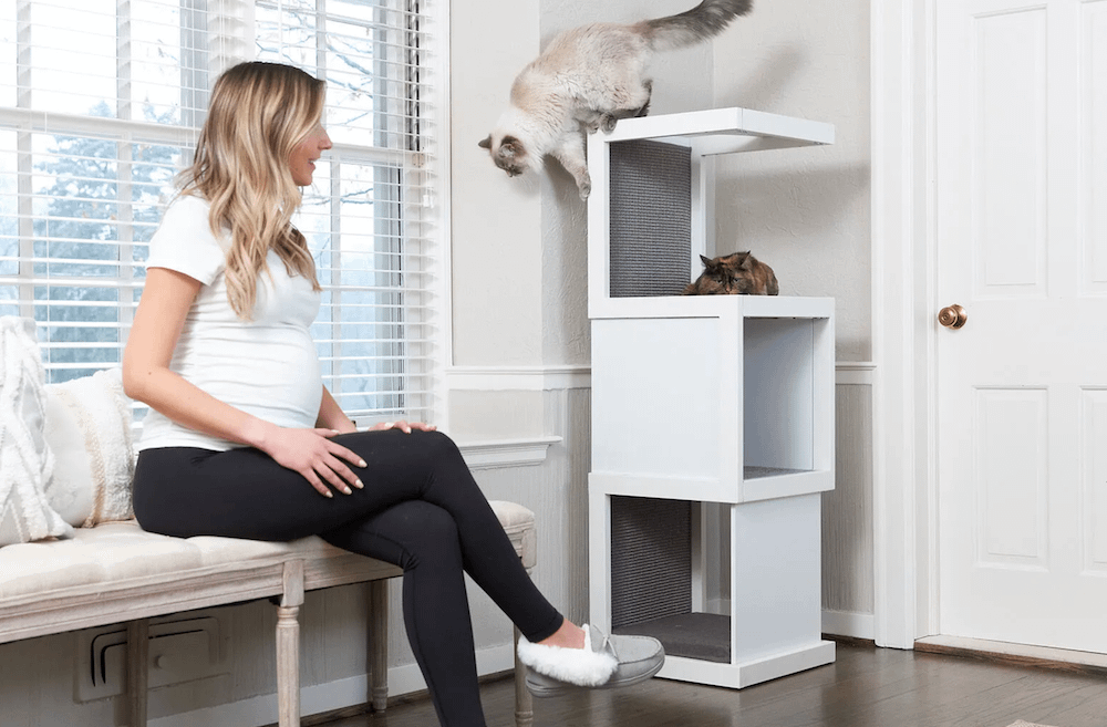 two cats playing on cat tree while woman watches