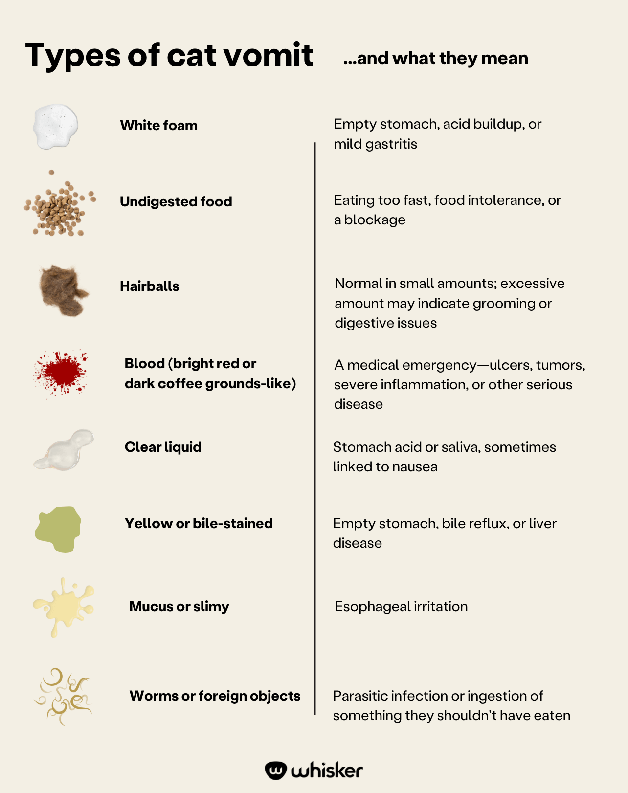 types of cat vomit - cat vomit color chart
