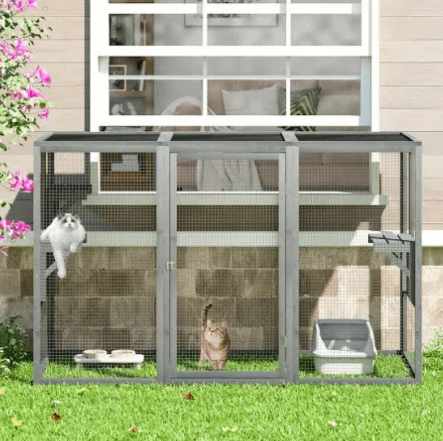 catio