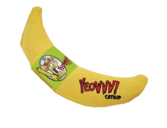 catnip banana