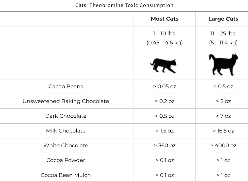 Cats: Theobromine Toxic Consumption