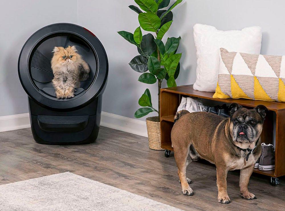 What s the Best Dog Proof Litter Box Litter Robot