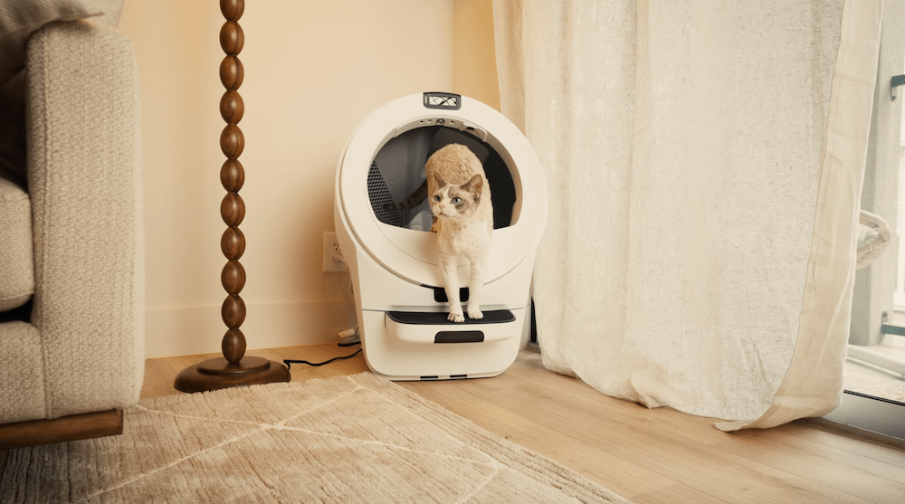 devon rex cat using self-cleaning litter box Litter-Robot 5 Pro