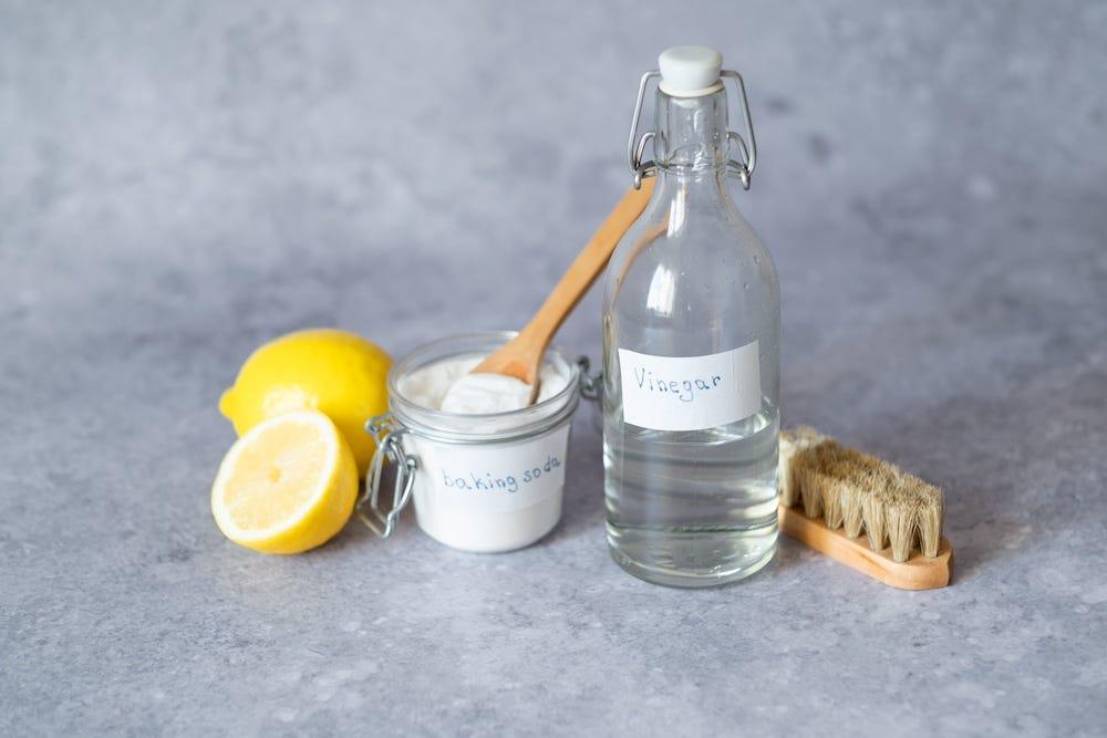 Homemade fashion cat urine remover