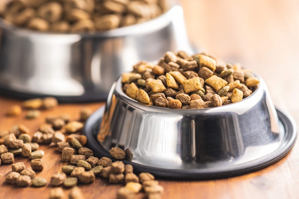 bowls of dry cat food