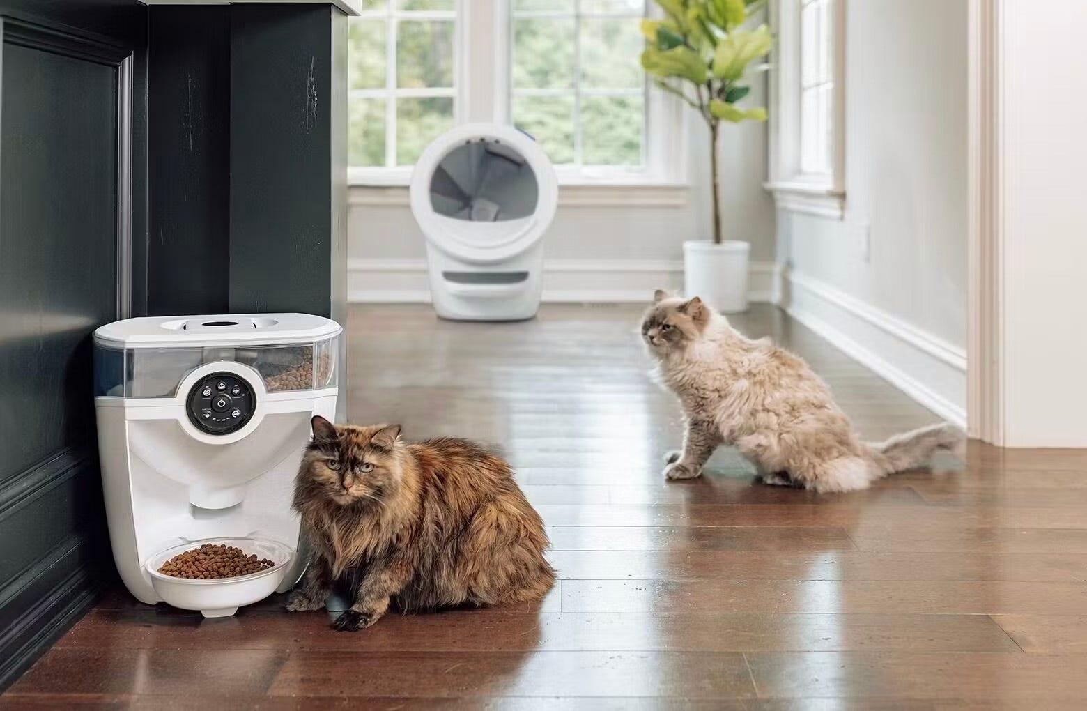 two cats with automatic cat feeder and self-cleaning litte rbox