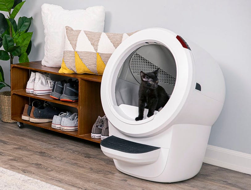 litter robot 4 the best litter box for kittens
