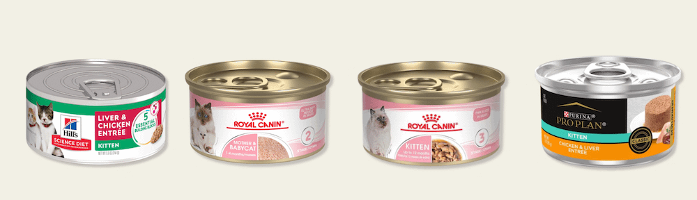 best kitten wet food