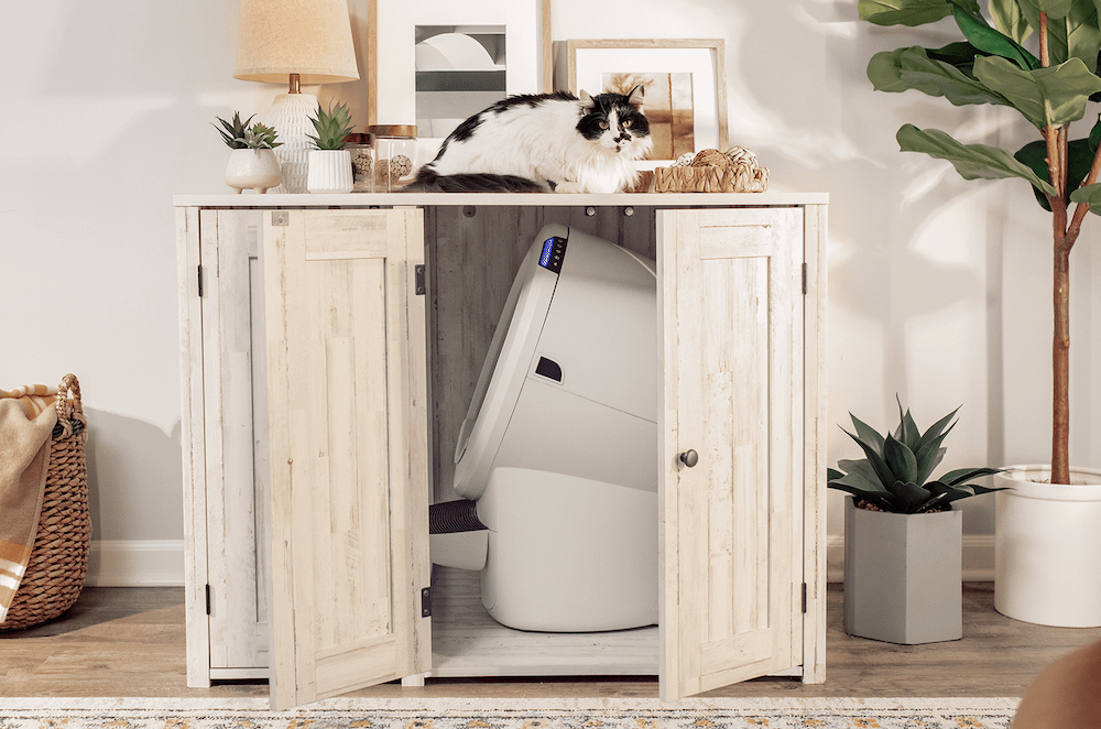 cat laying on litter box furniture