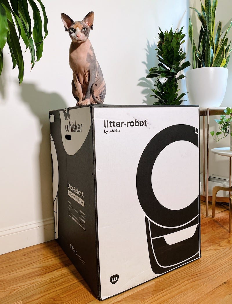 Sphynx cat sitting on Litter-Robot box
