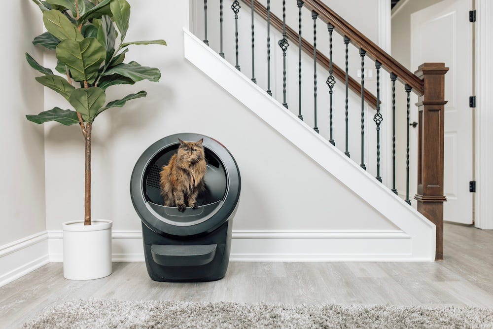 cat using Litter-Robot self-cleaning litter box
