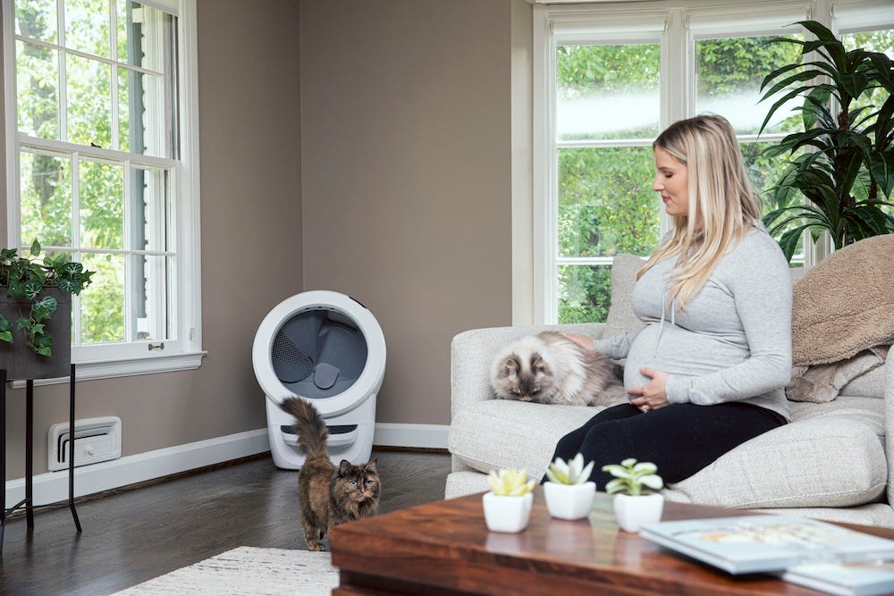 pregnant woman petting cat near Litter-Robot self-cleaning litter box