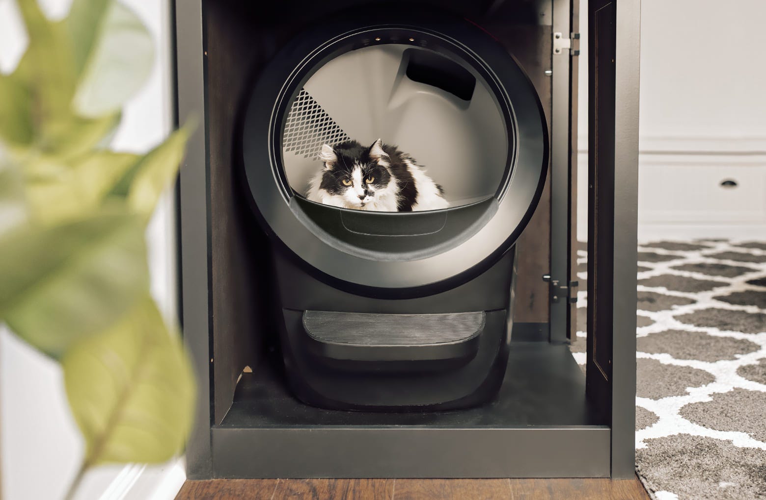 Litter-Robot 4 bonnet open showing OdorTrap