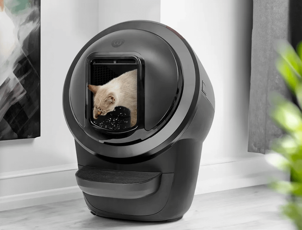 messy cat using Litter-Robot 4 with Shield