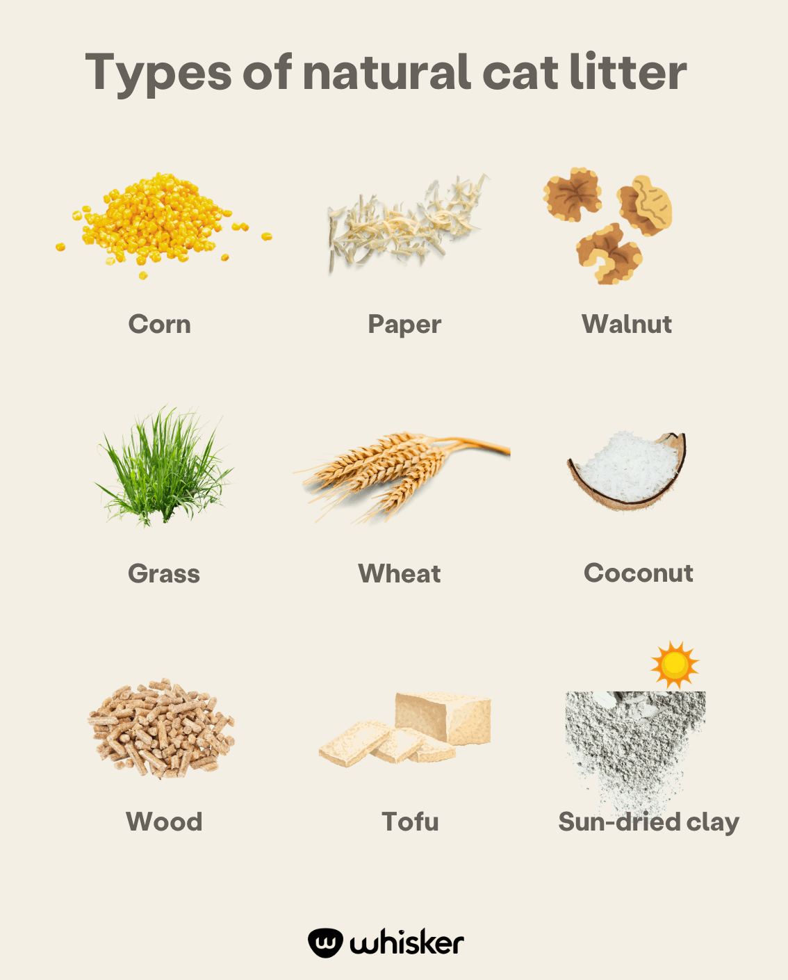 best natural cat litter infographic