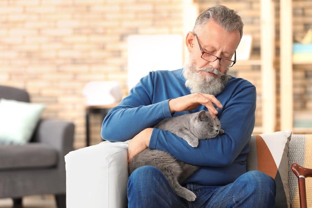 older man petting grey cat