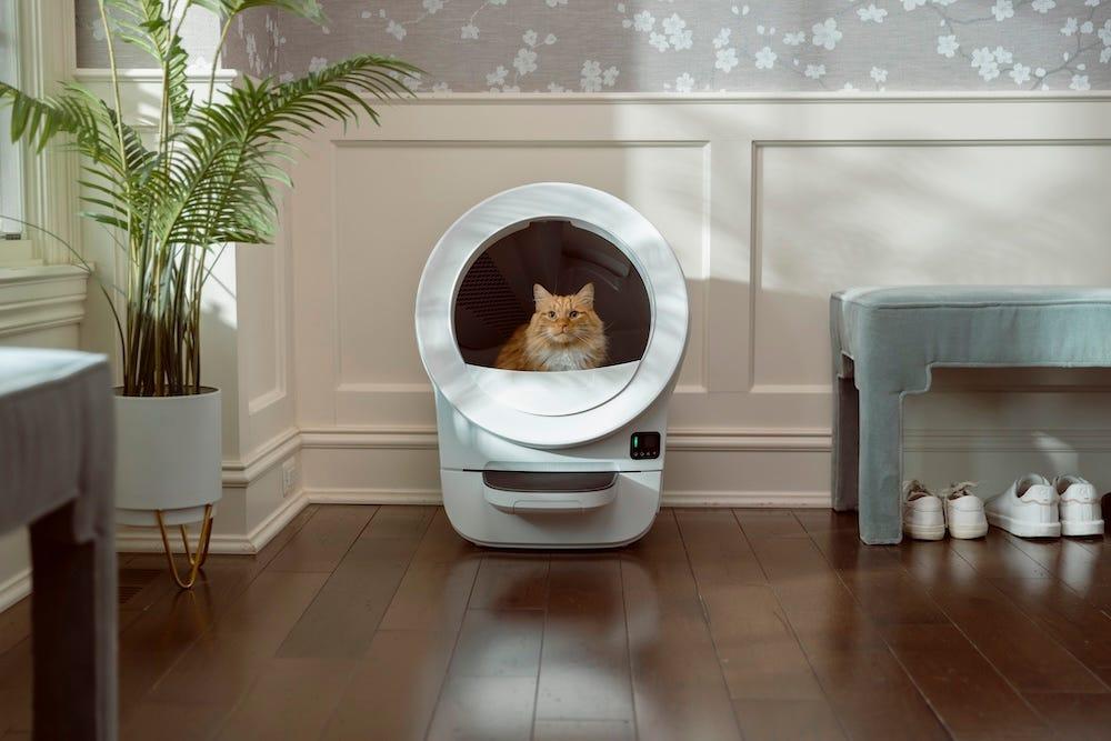 self-cleaning litter box wedding gift idea Litter-Robot EVO